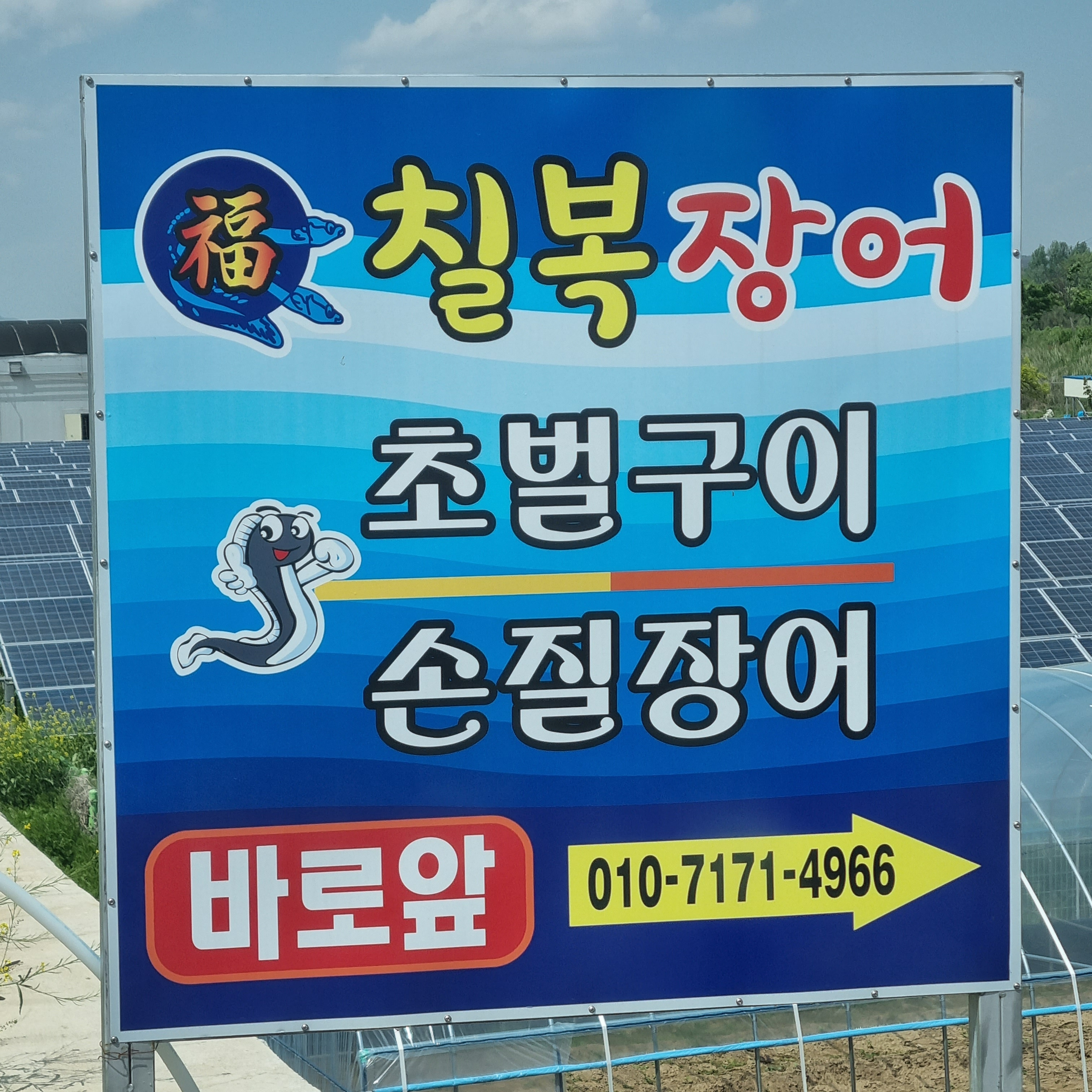 칠복장어