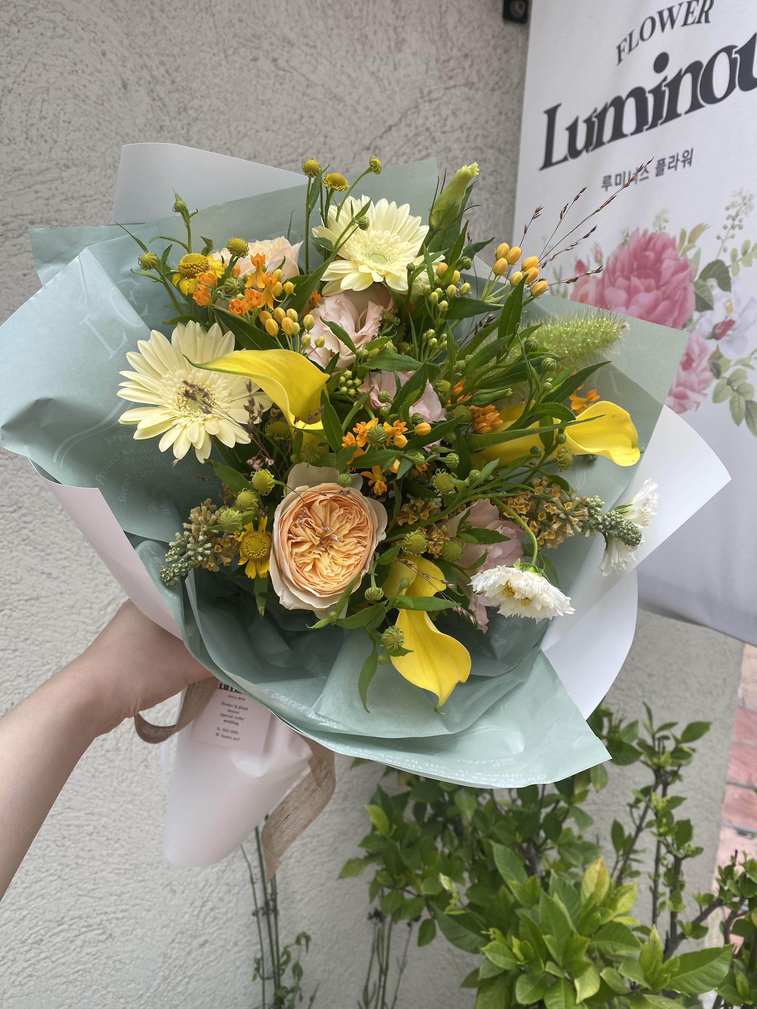 루미너스플라워