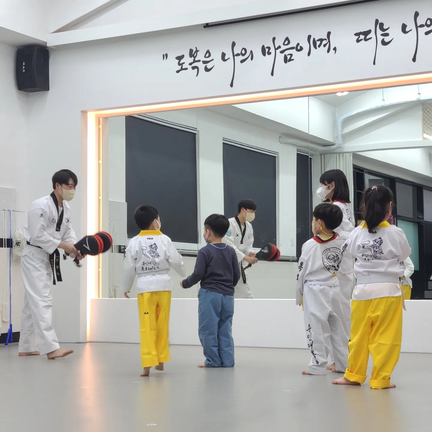 흑호태권도