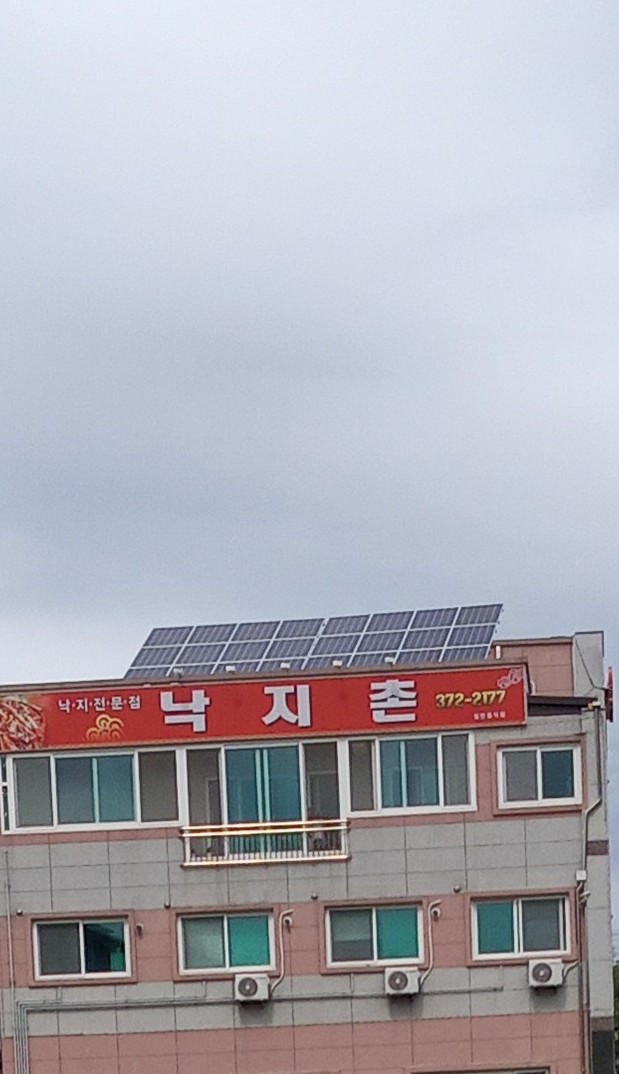 낙지촌