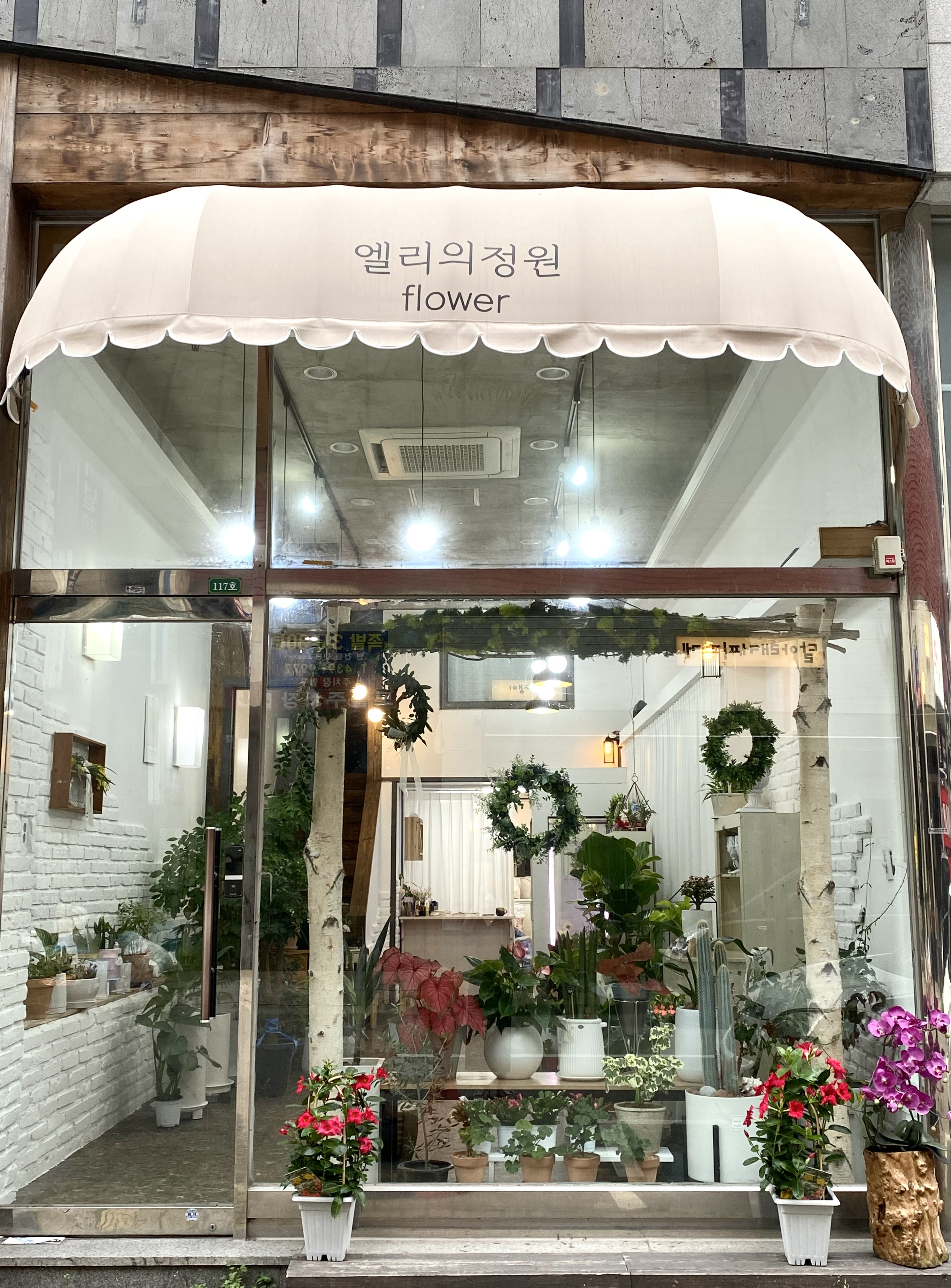 엘리의정원