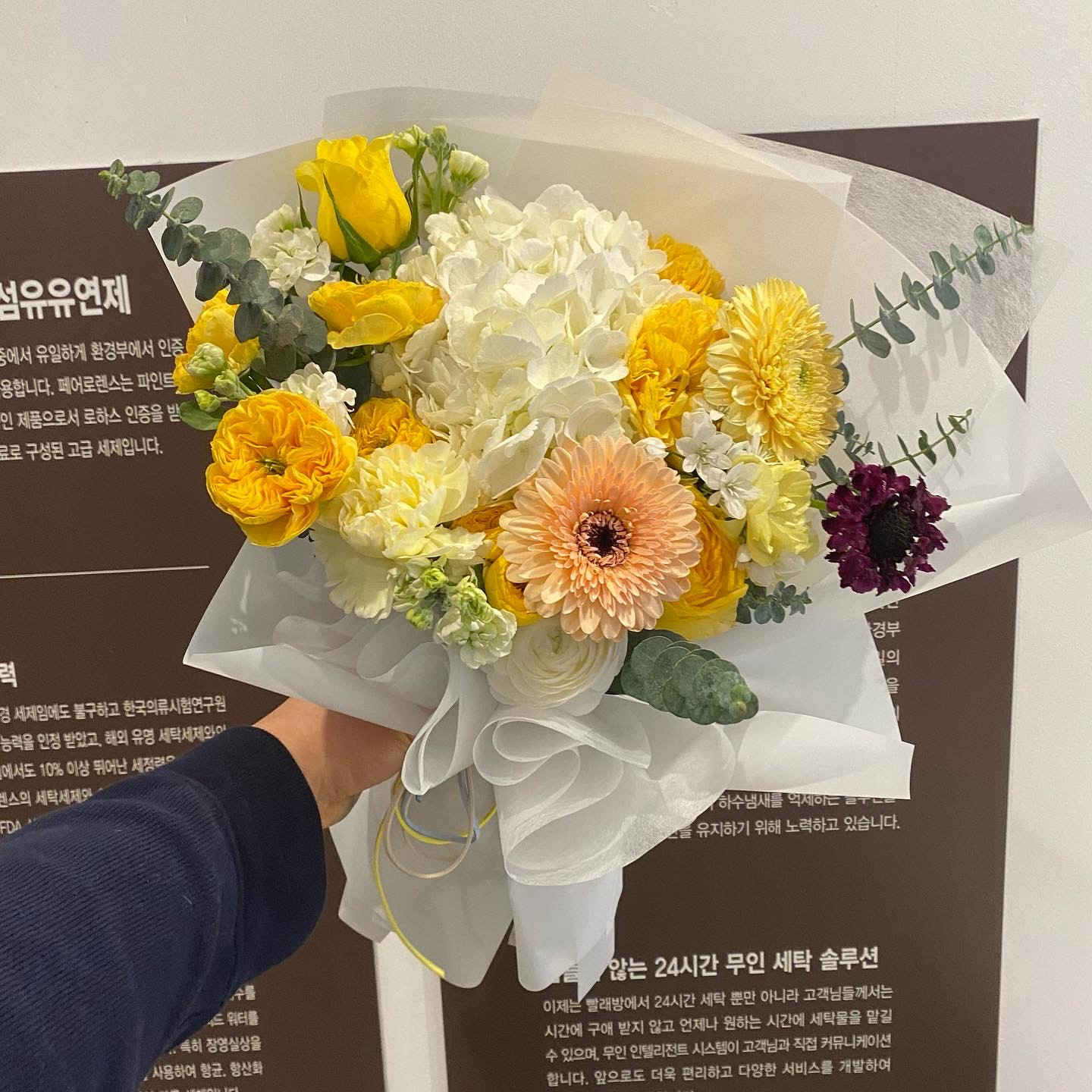 월드컵화원