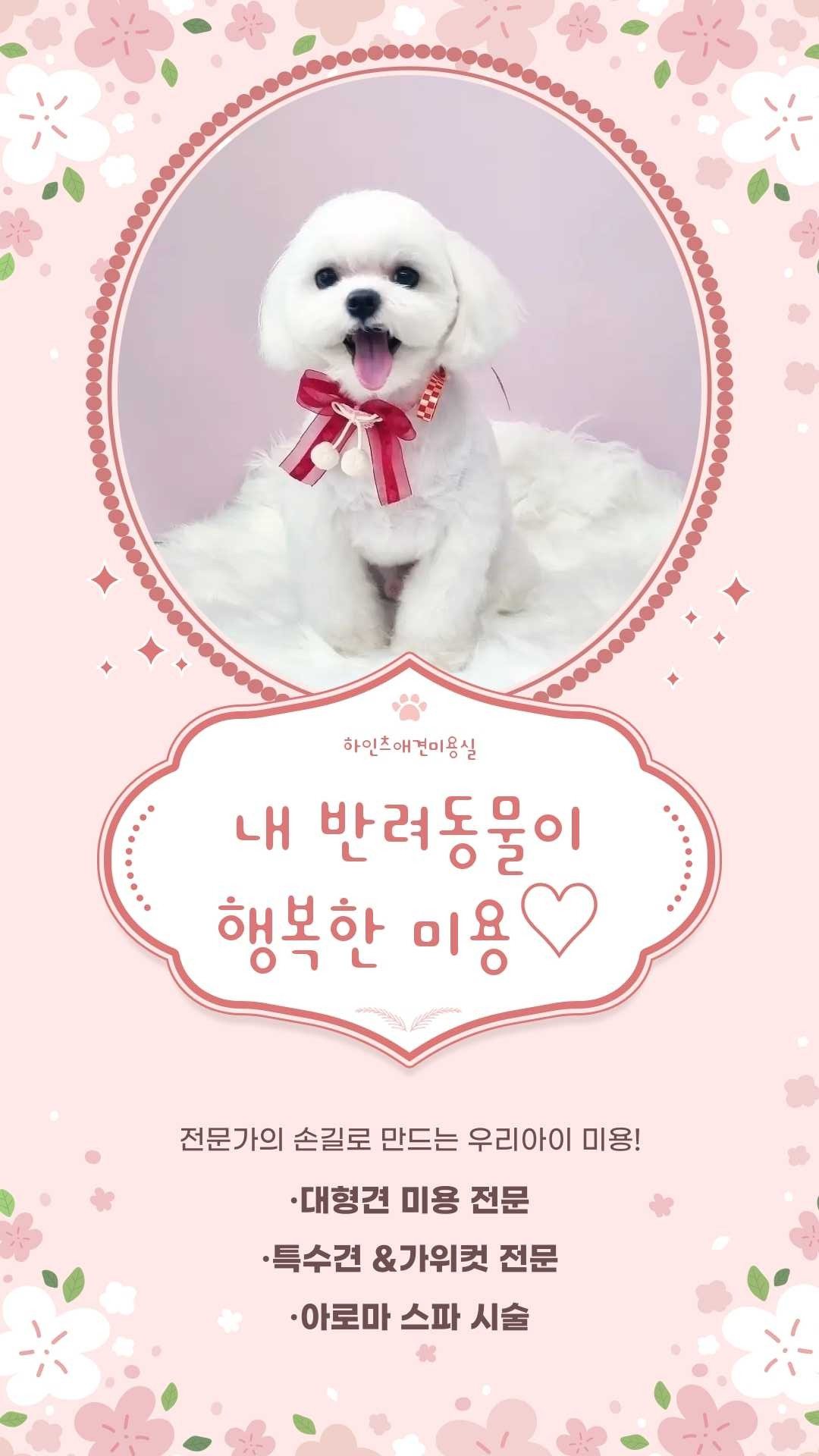 하인츠애견미용실