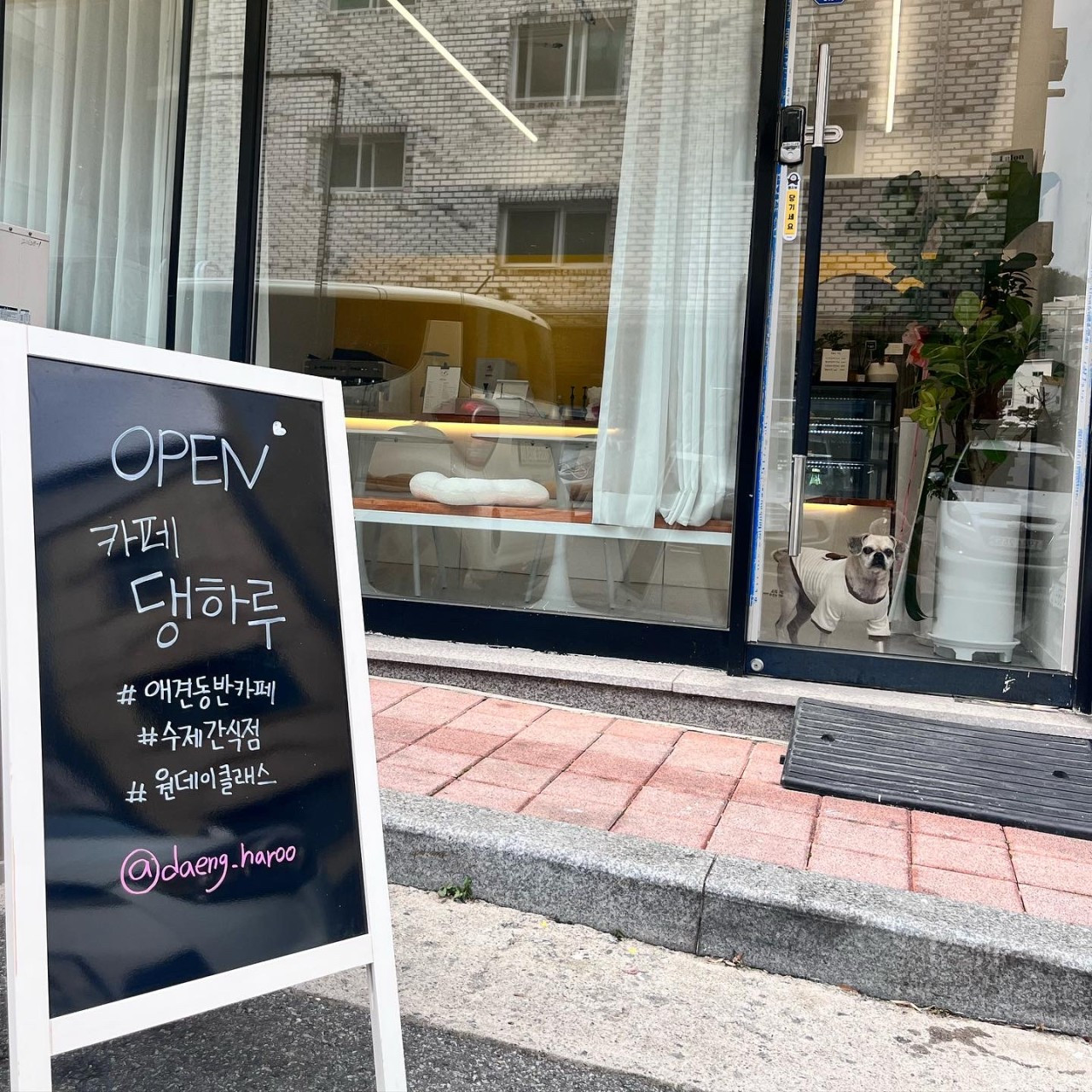 카페,댕하루