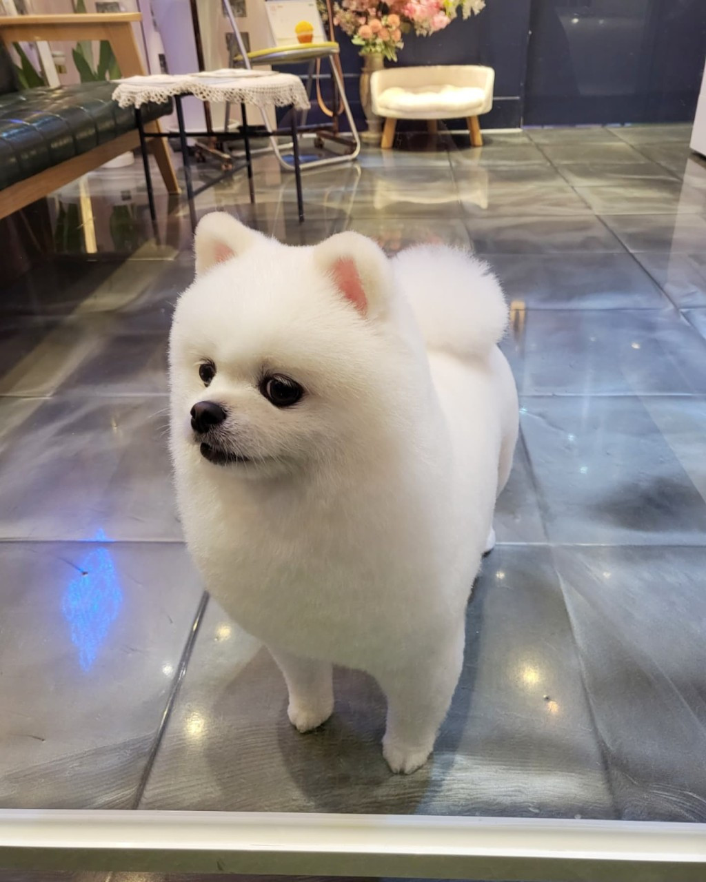 몽몽샵