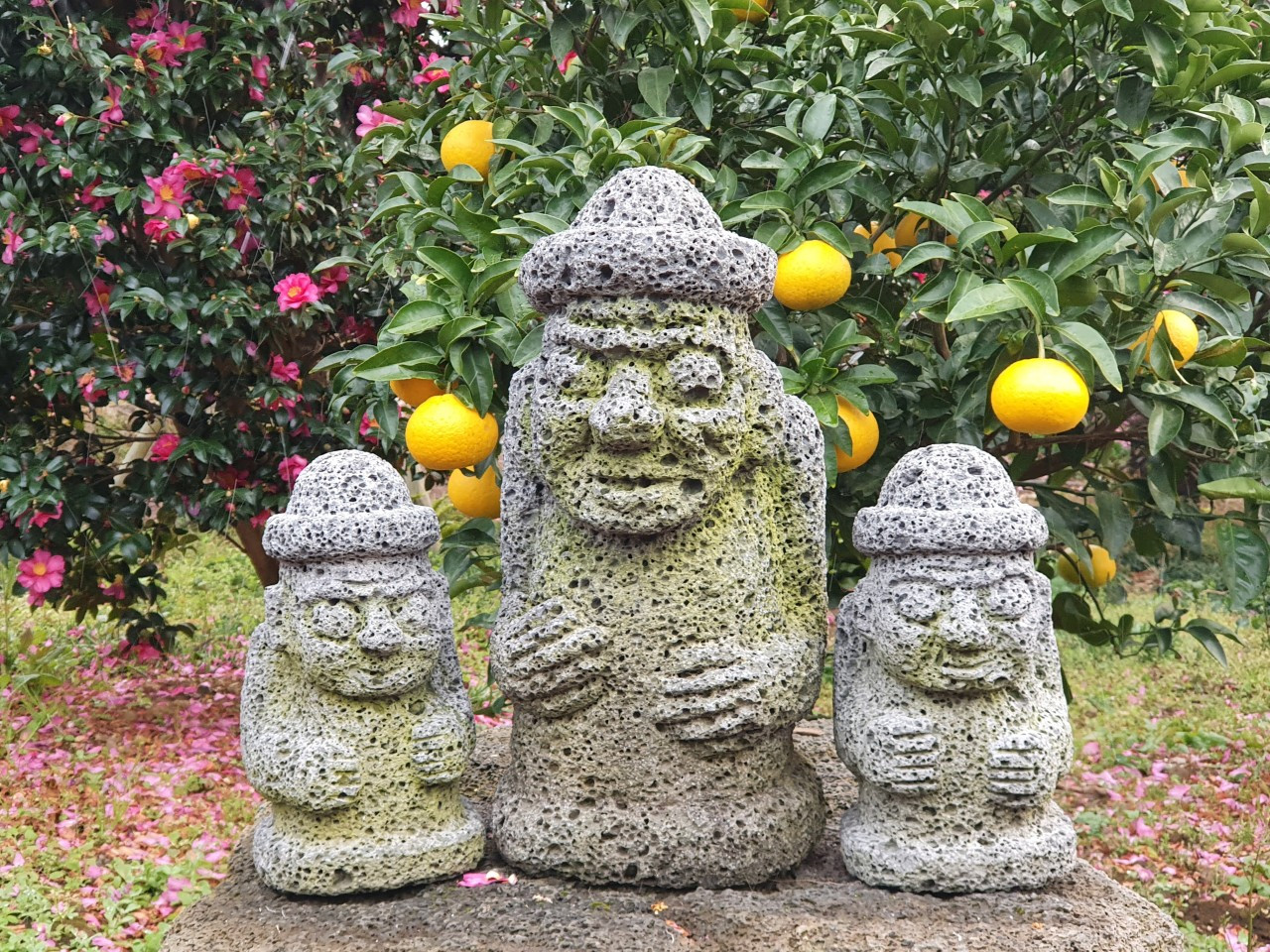 귤라라