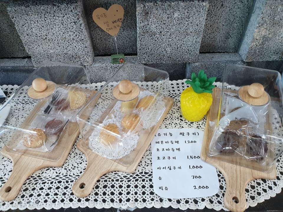 버드아일랜드