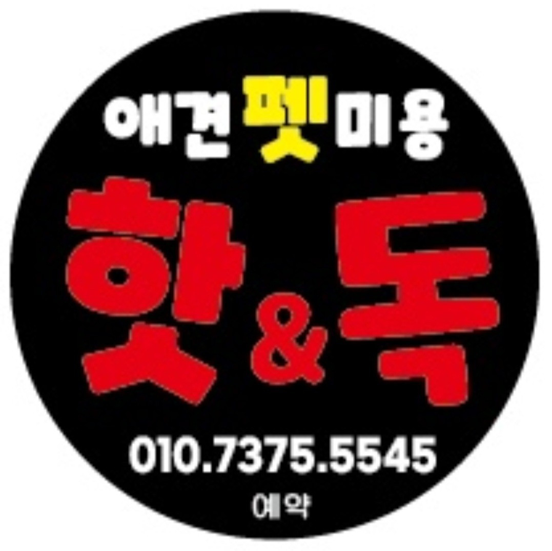 핫앤독