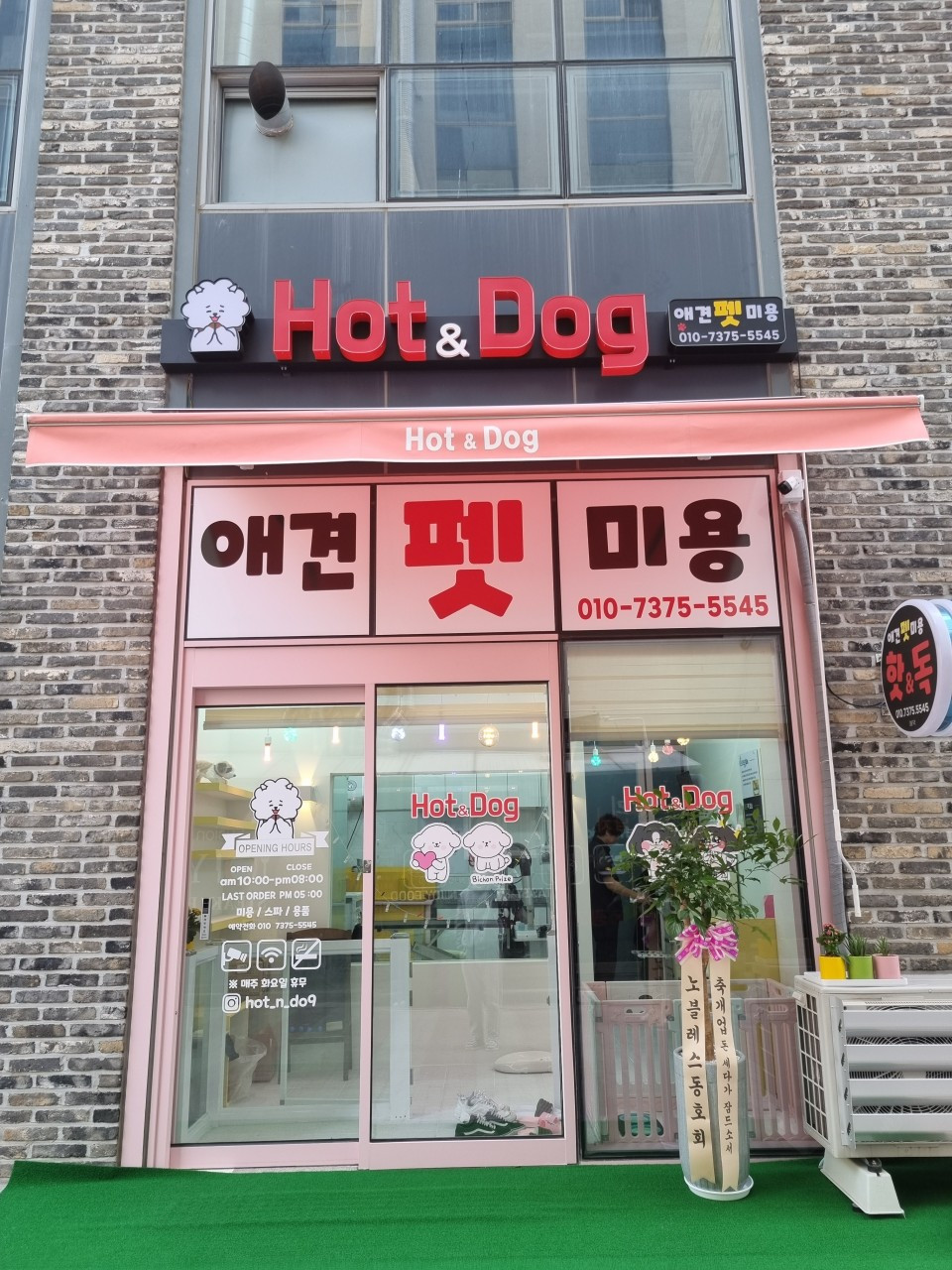 핫앤독