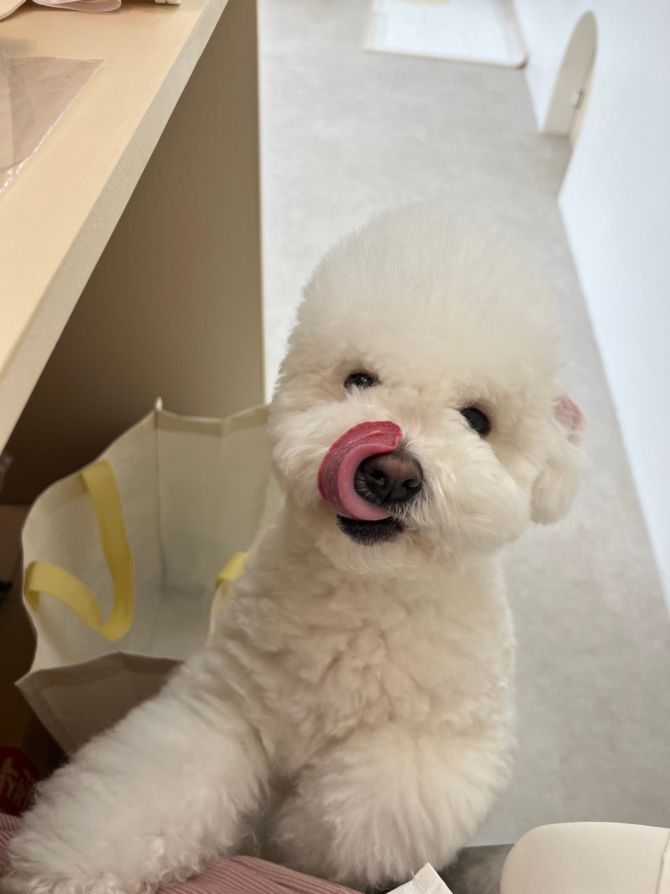 개월