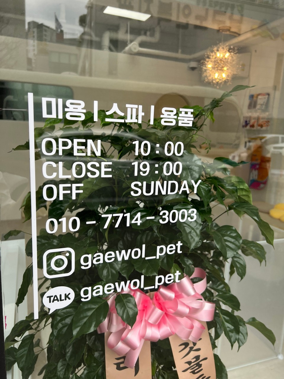 개월