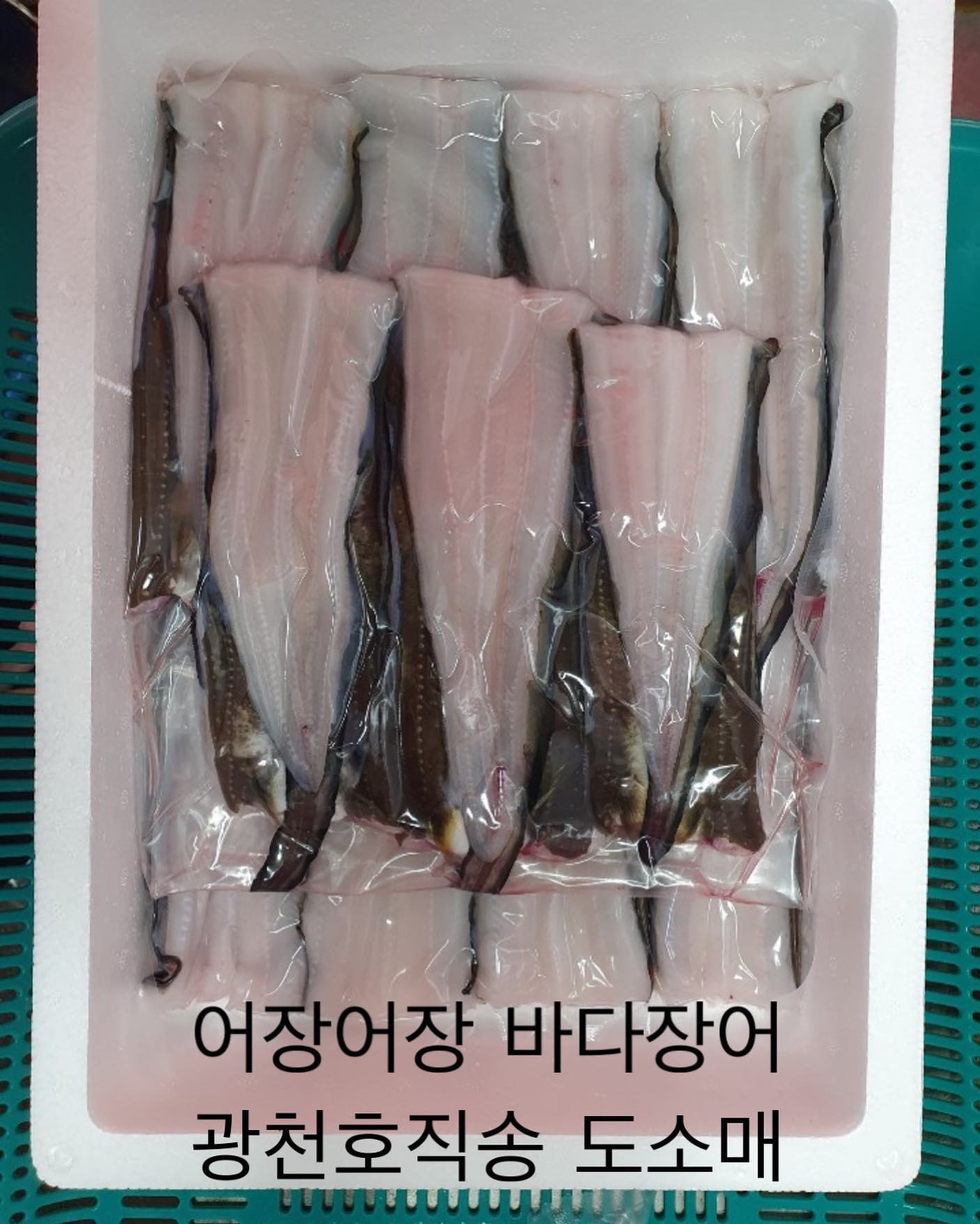 어장어장