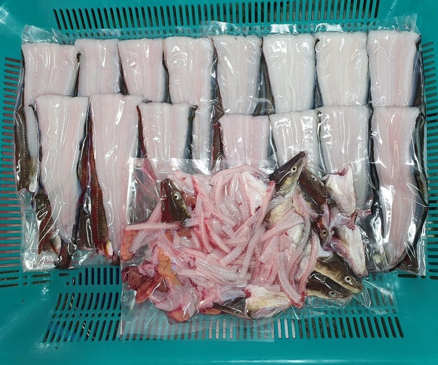 어장어장