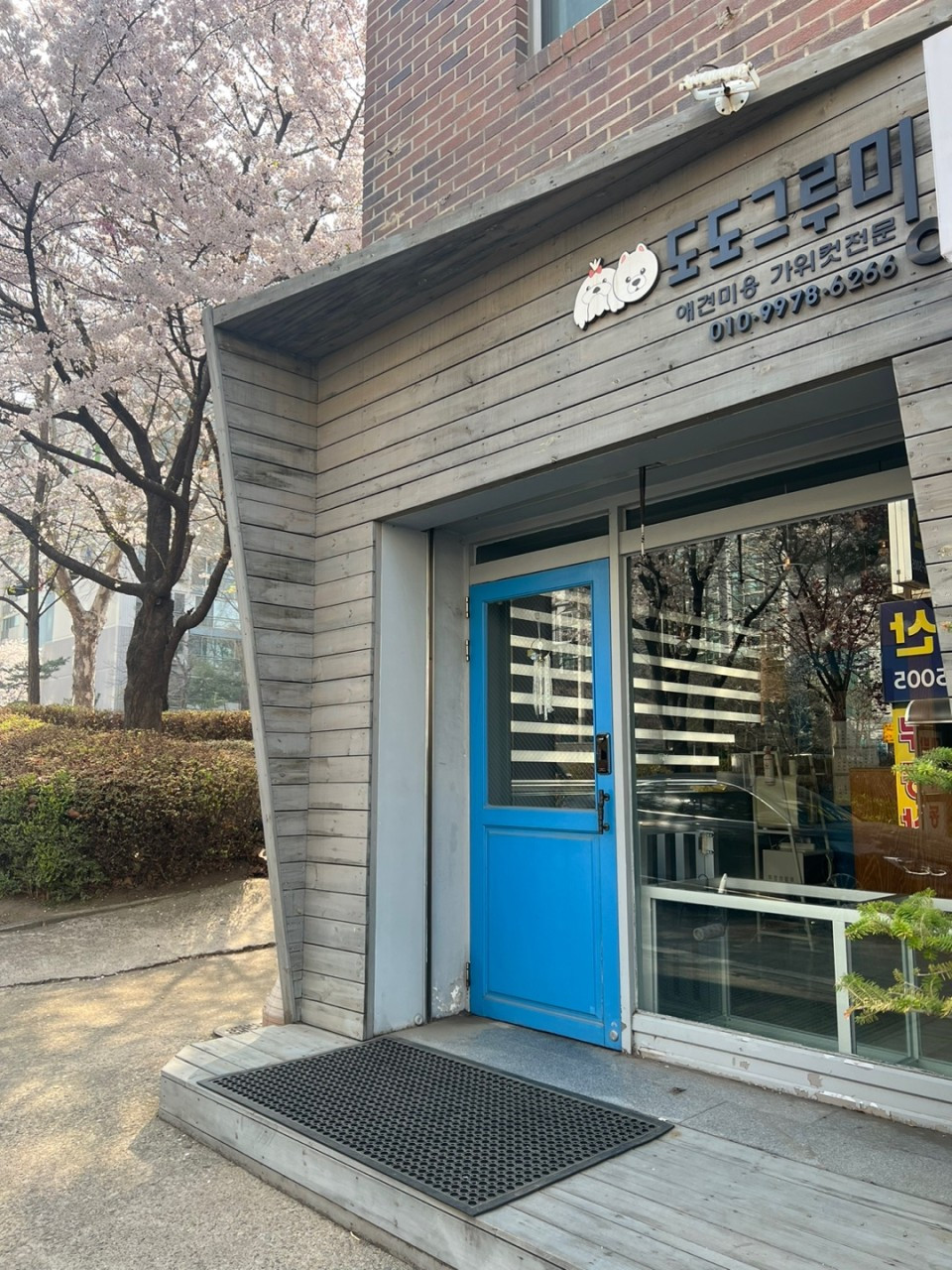 도도그루밍