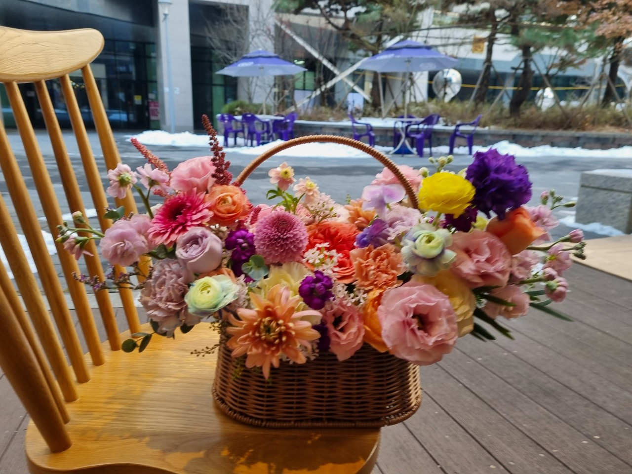 가이아