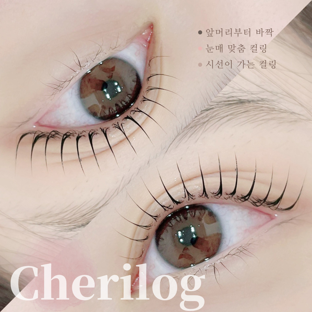 쉐리로그