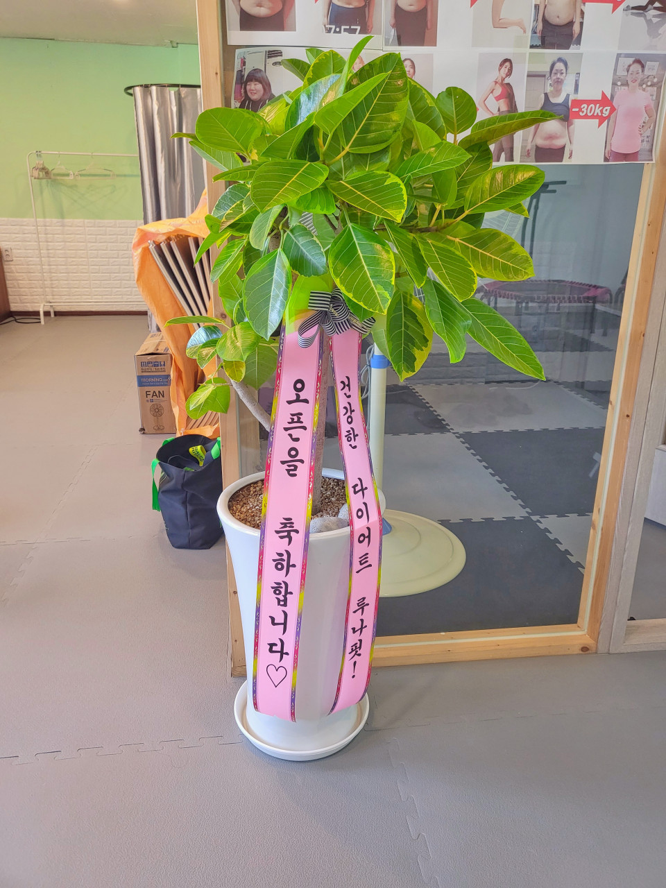 루나핏