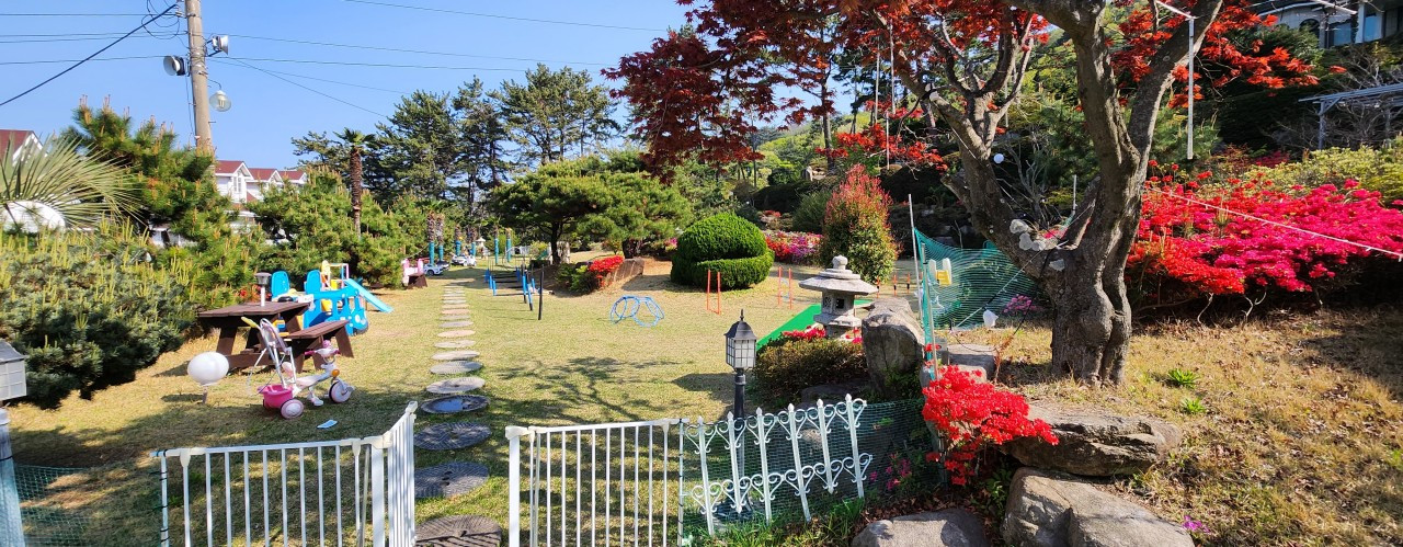 블루캐슬애견펜션