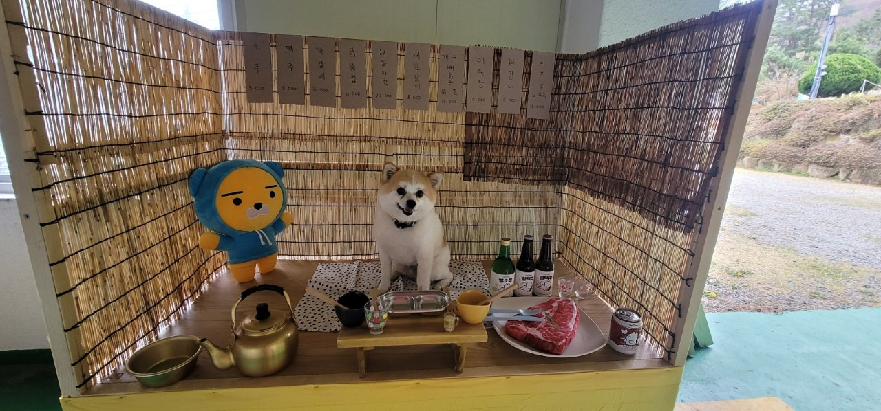 블루캐슬애견펜션