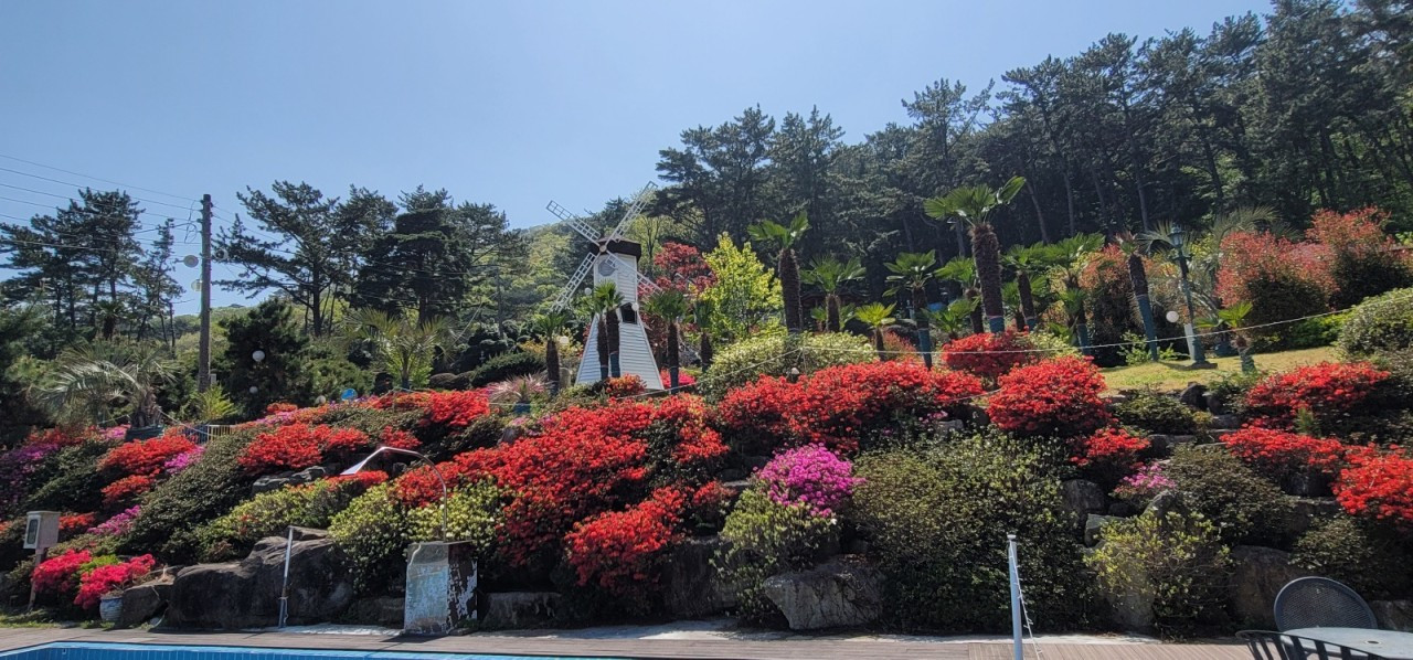 블루캐슬애견펜션