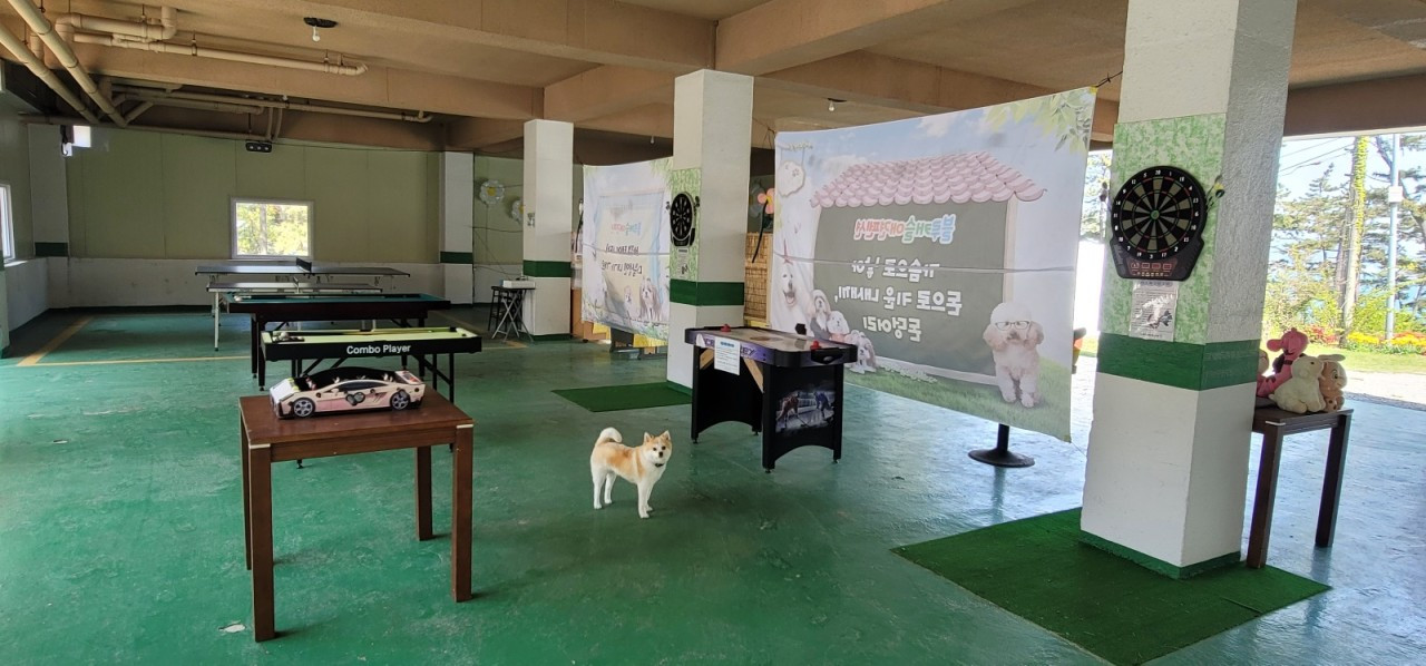 블루캐슬애견펜션