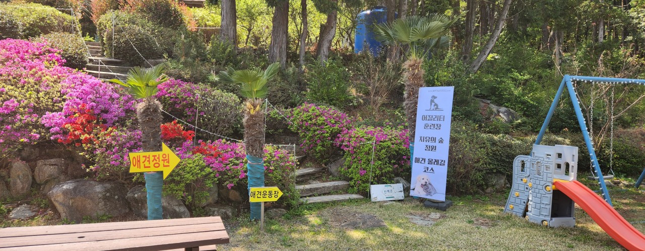 블루캐슬애견펜션