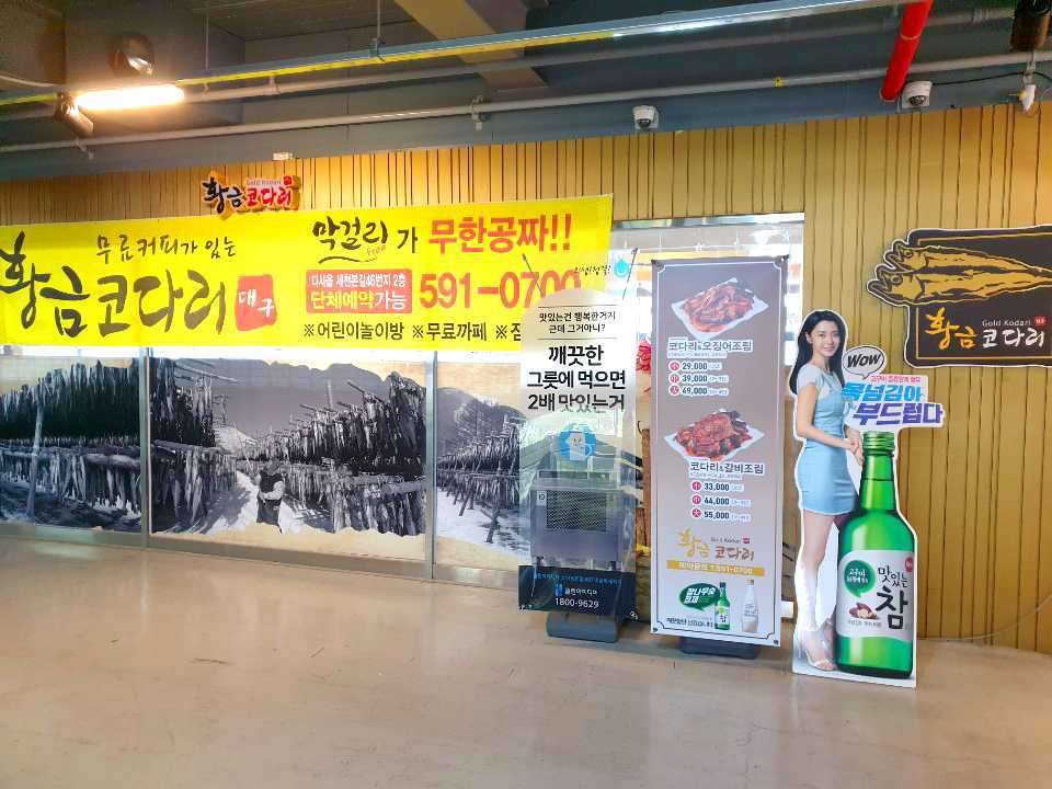 황금코다리