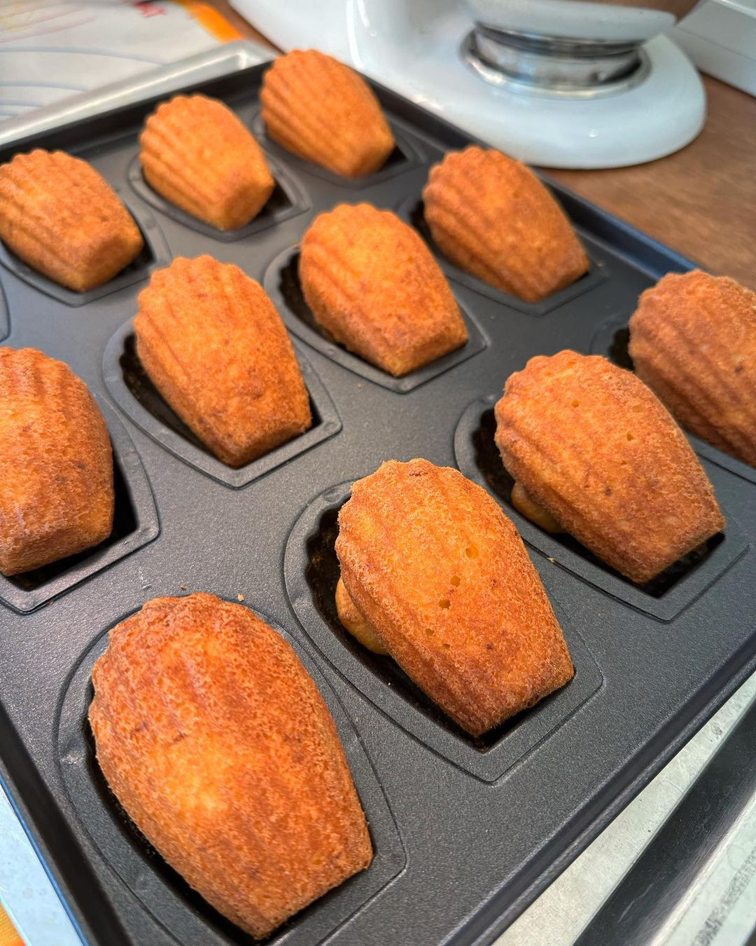 카페누솜