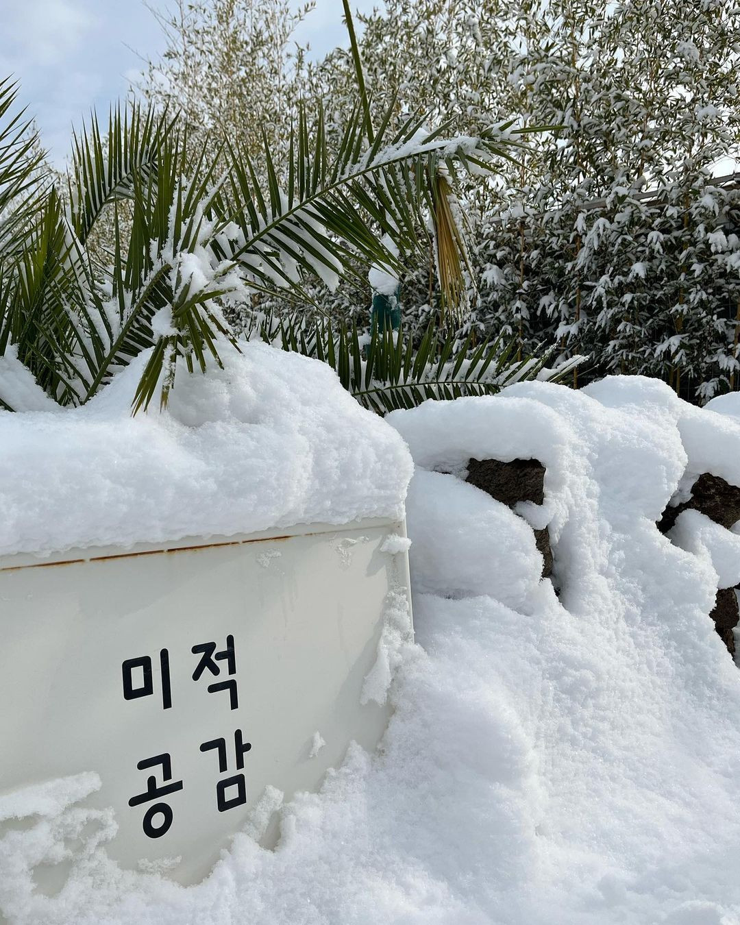 미적공감풀빌라