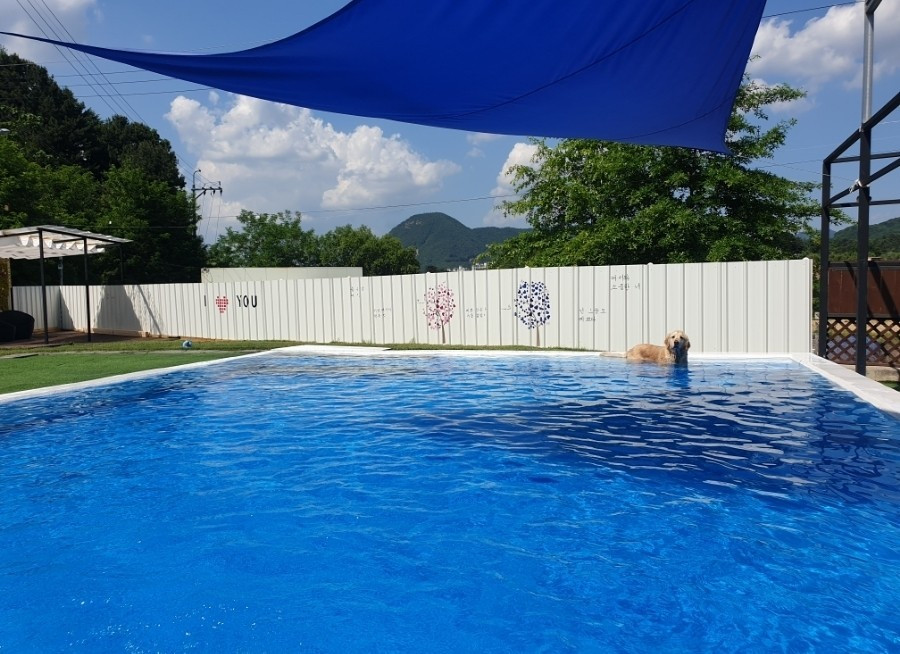 디제이뭉