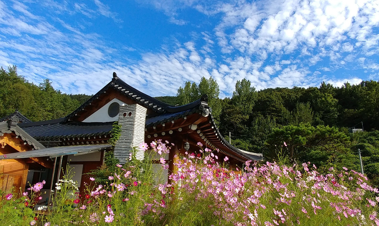 질풍경초한옥펜션