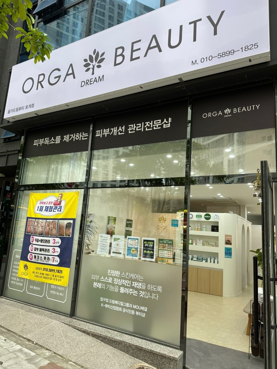 올가드림뷰티호계점