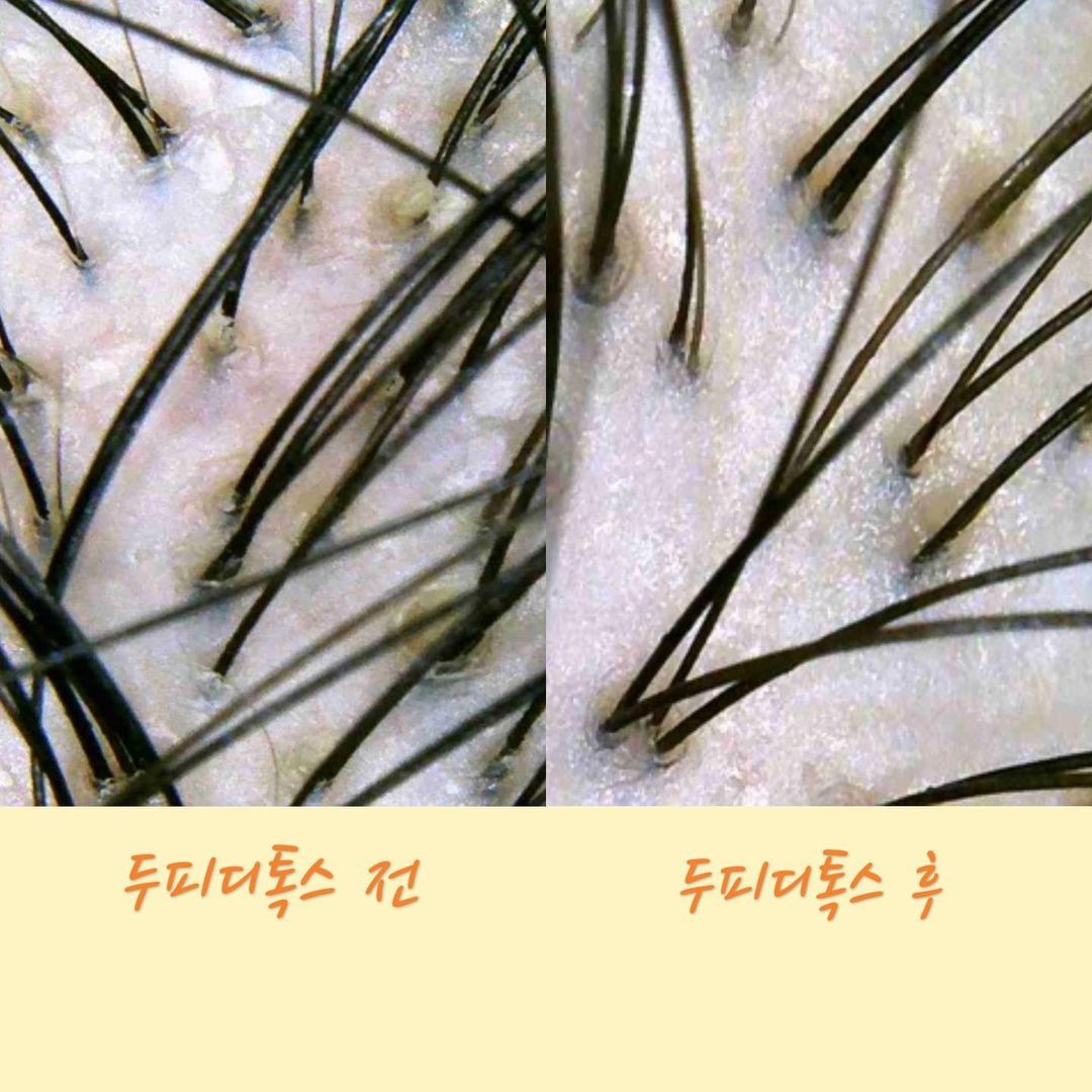올가드림뷰티호계점