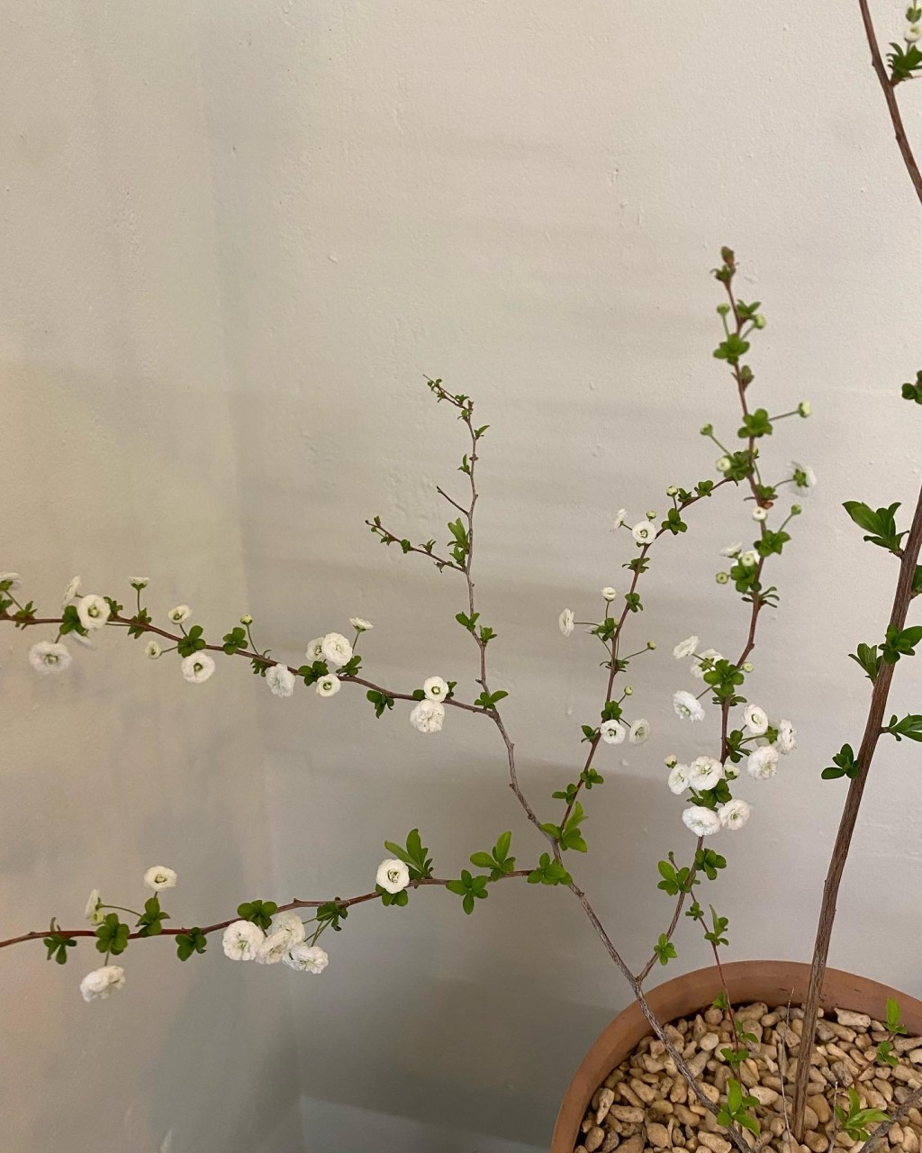 재재