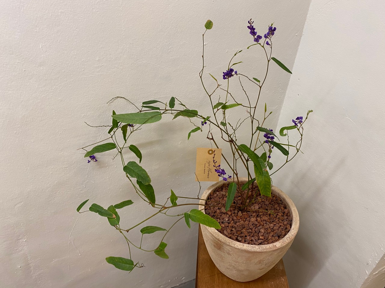 재재