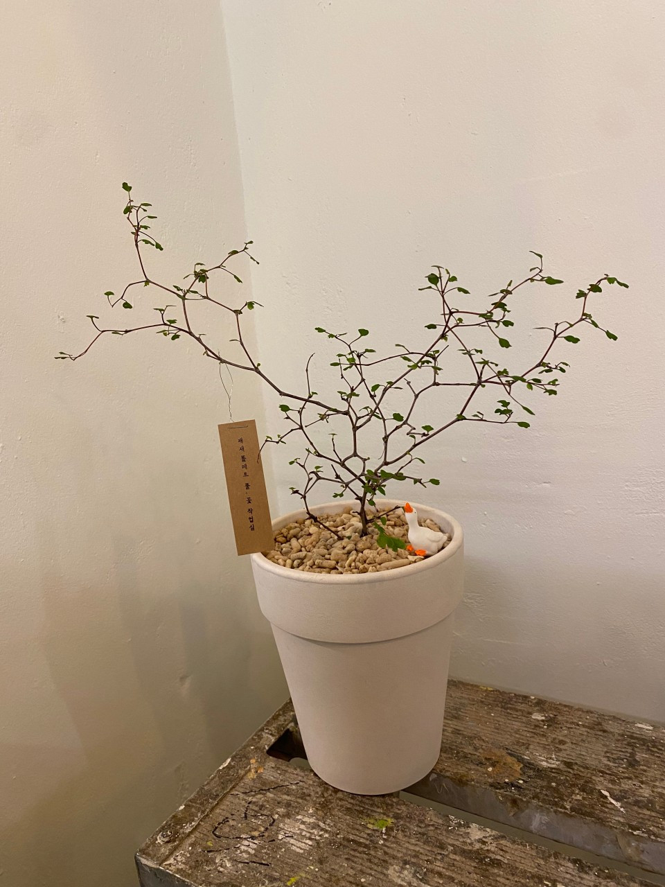 재재
