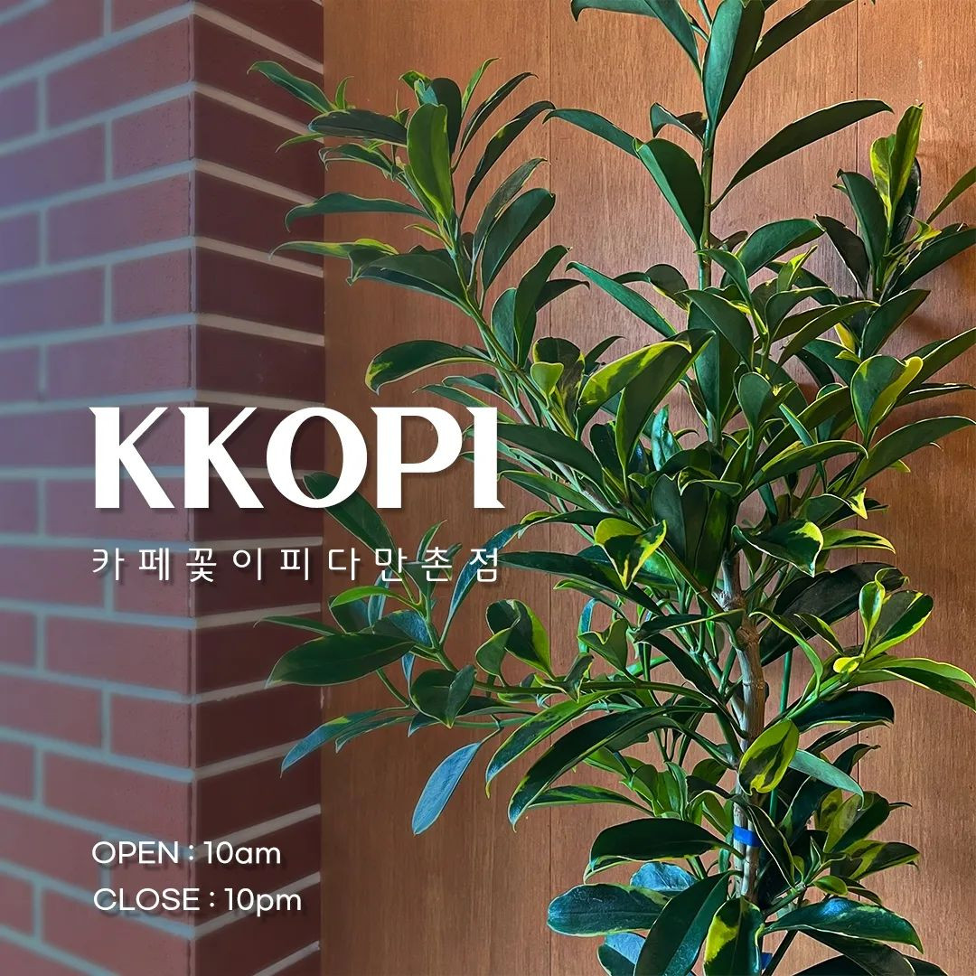 카페꽃이피다만촌점