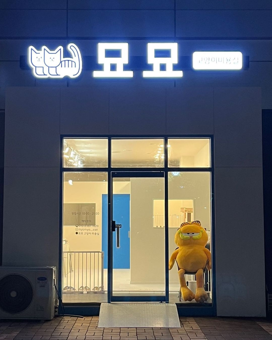 묘묘