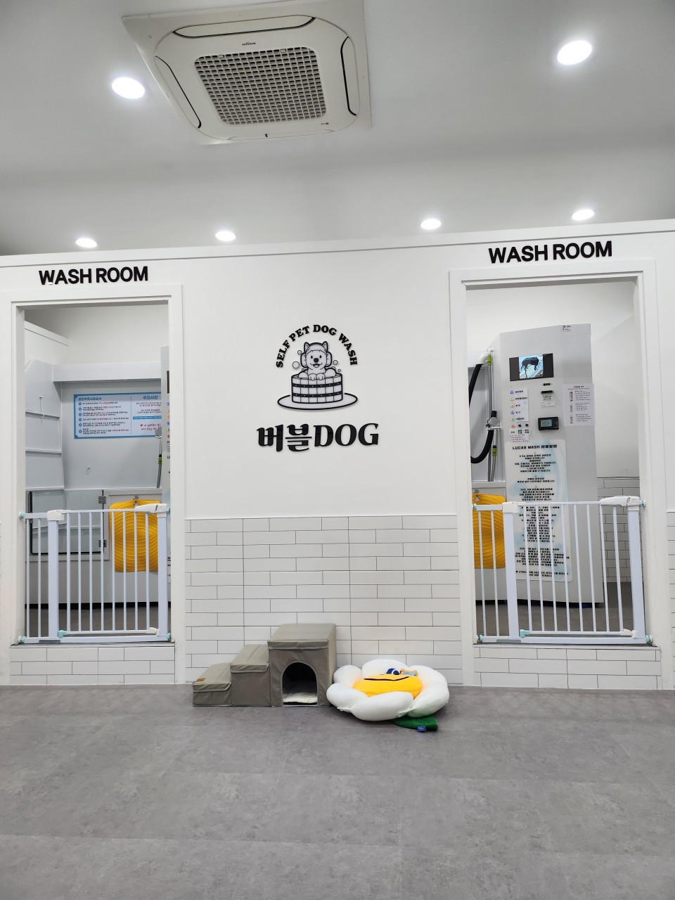 버블DOG