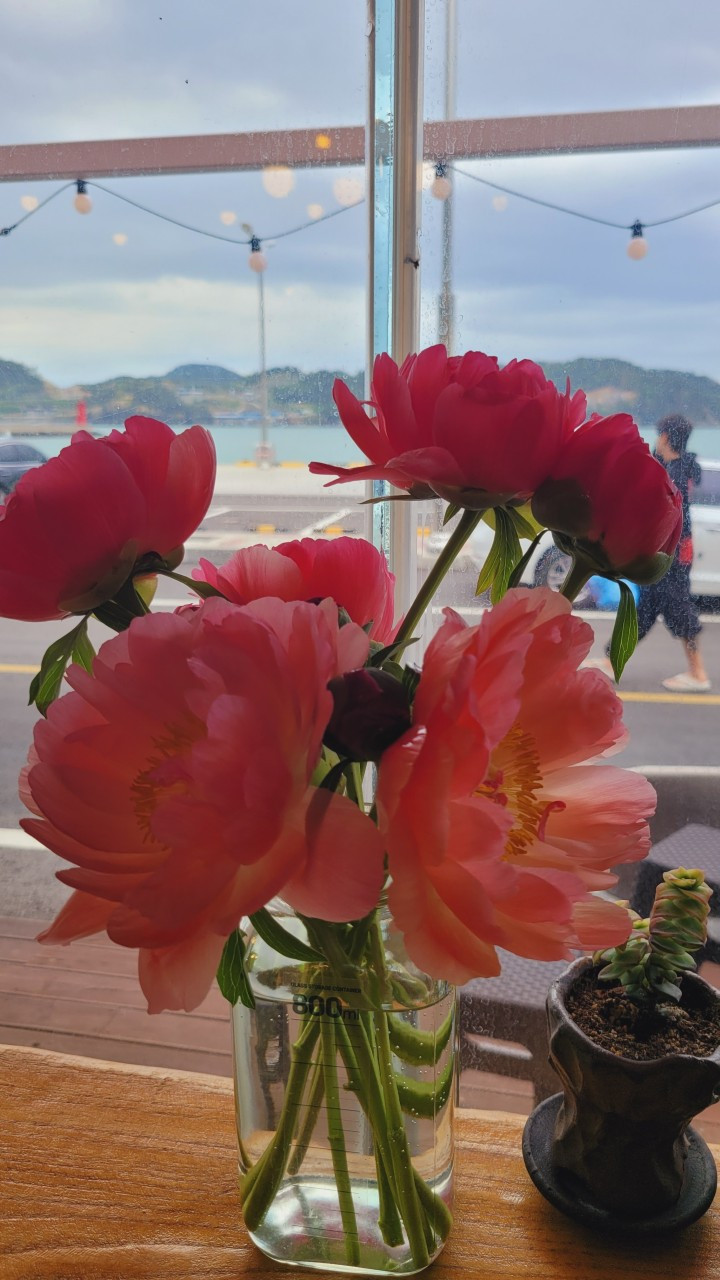 까페하루