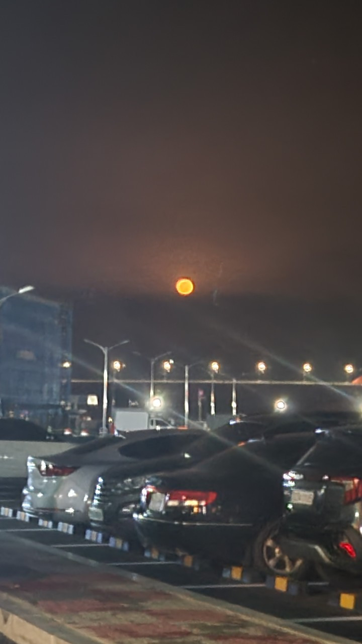 까페하루