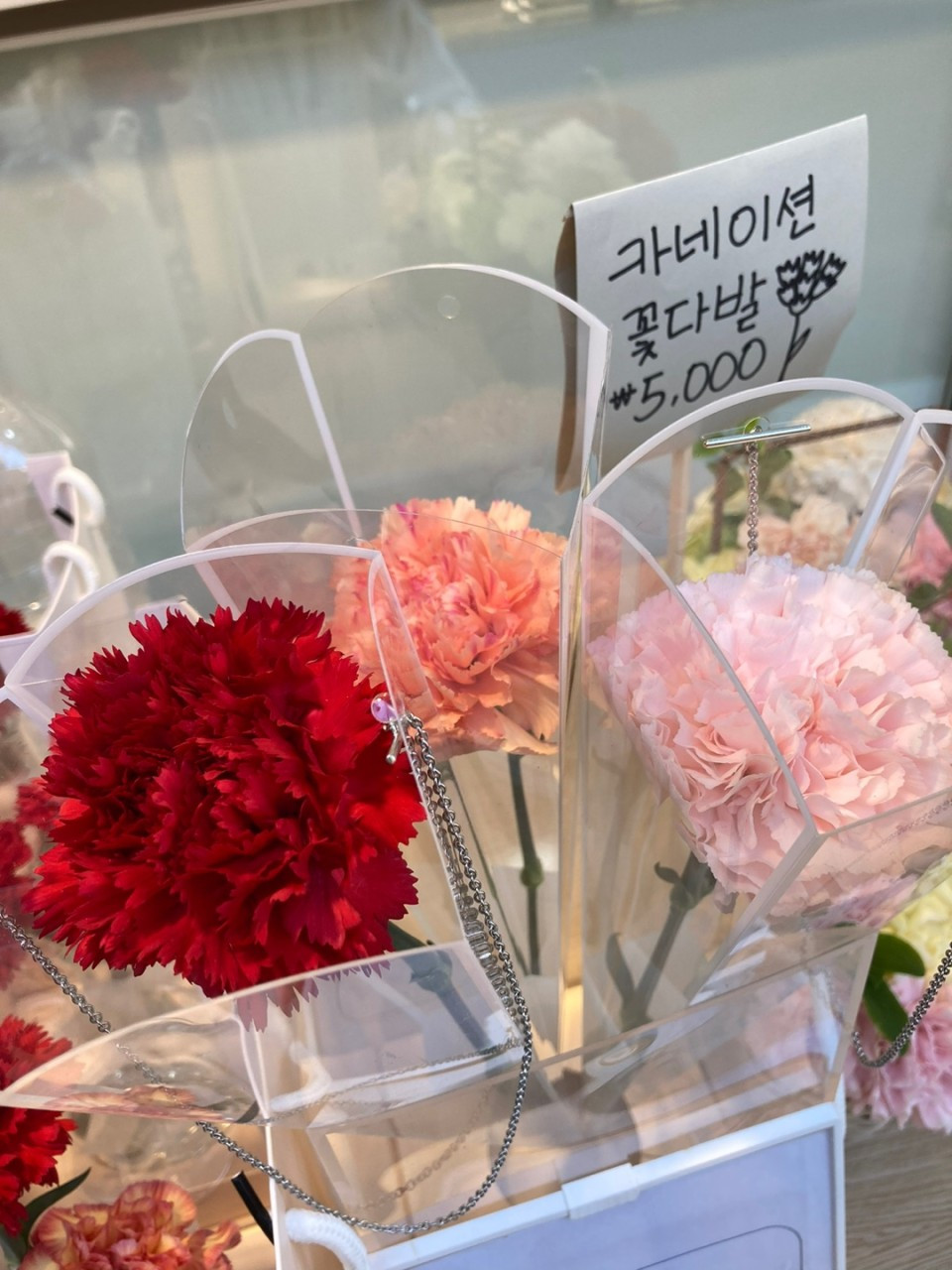 아멜리블룸