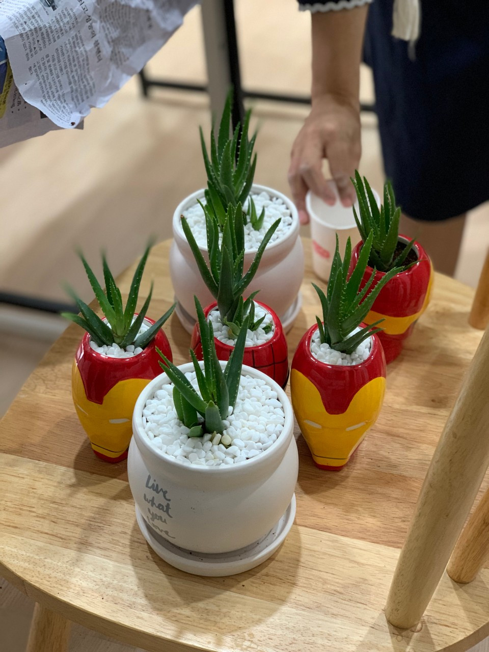 아멜리블룸