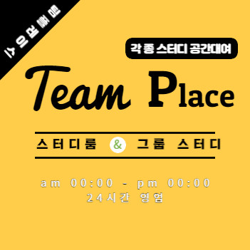 팀플레이스
