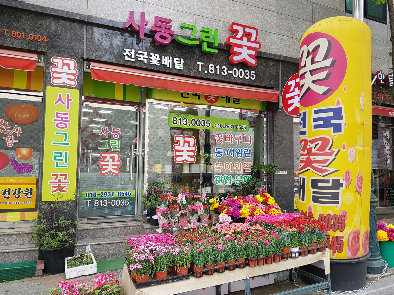 사동그린꽃