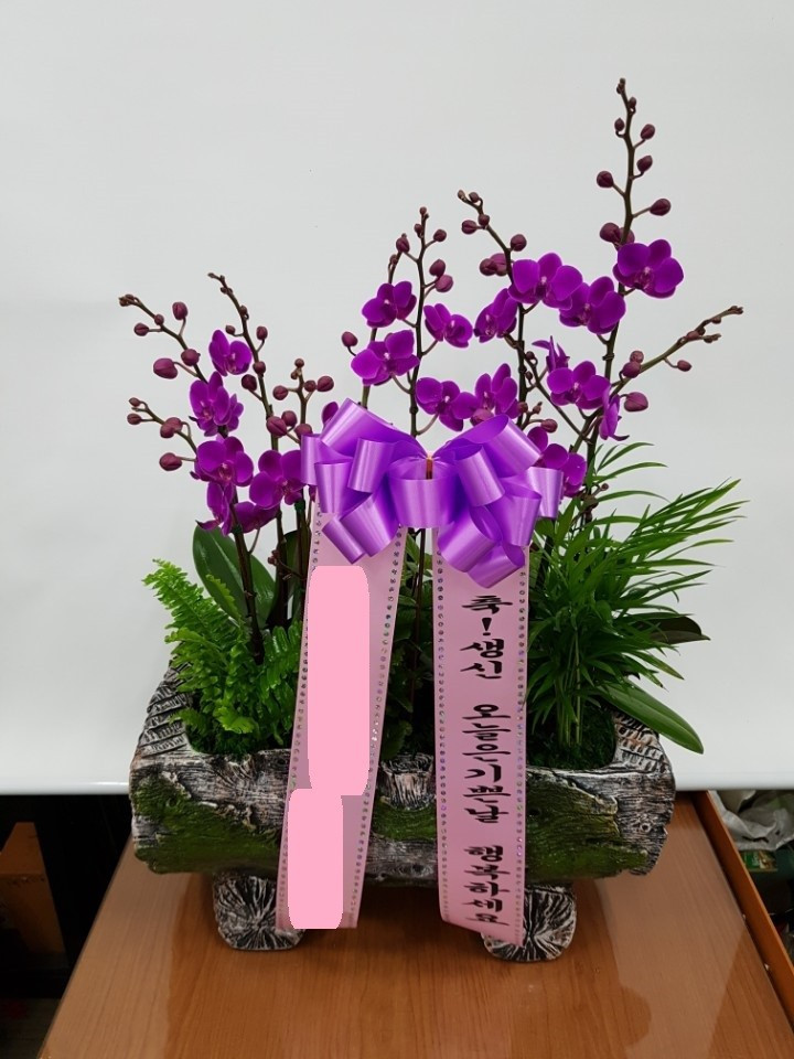 사동그린꽃