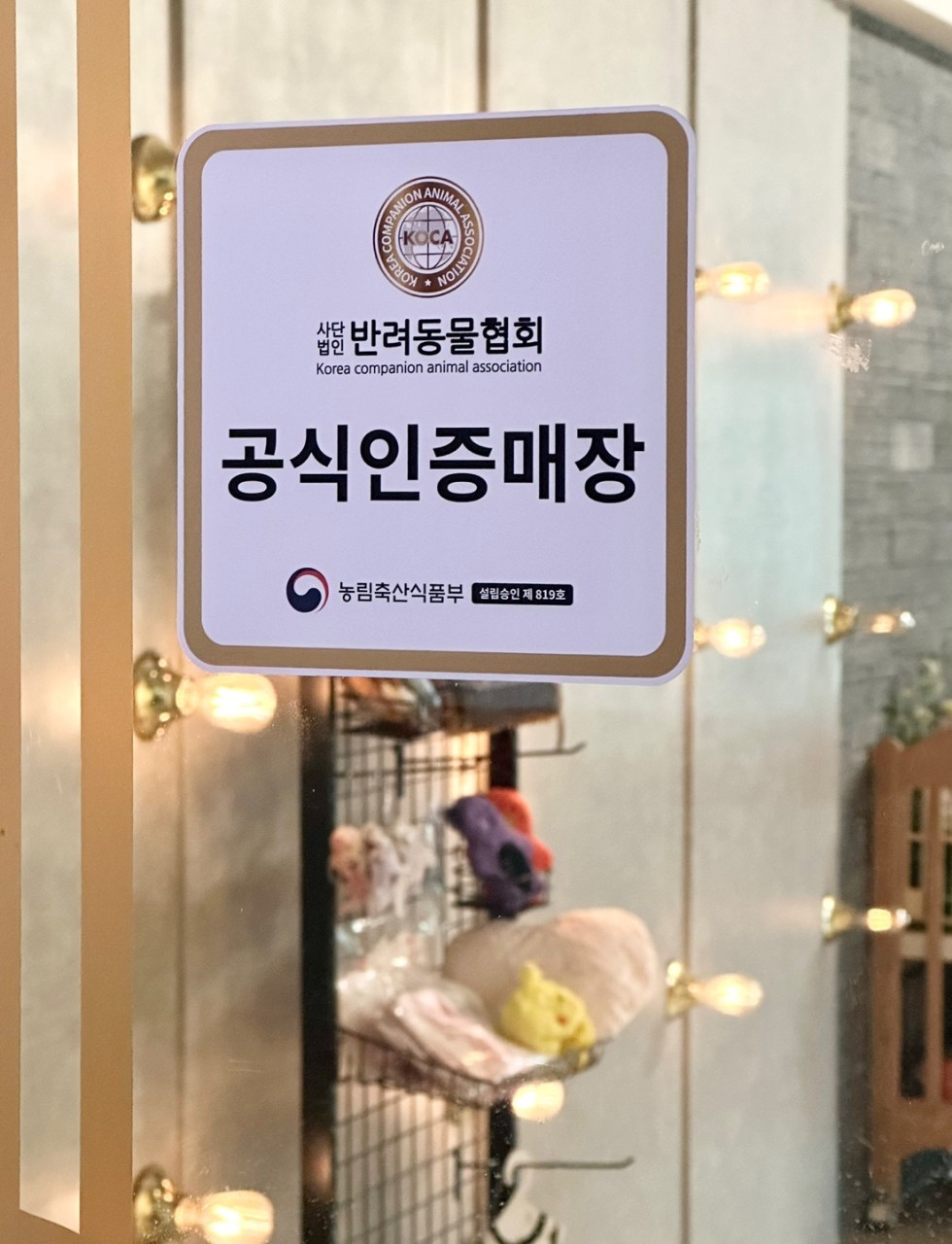 베이비몽수원점