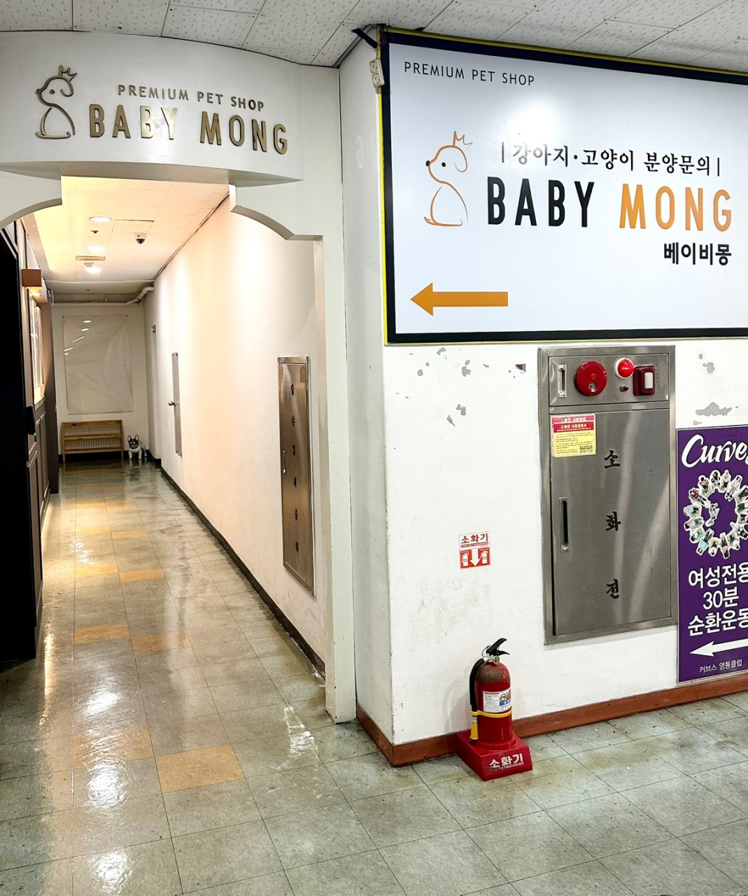 베이비몽수원점
