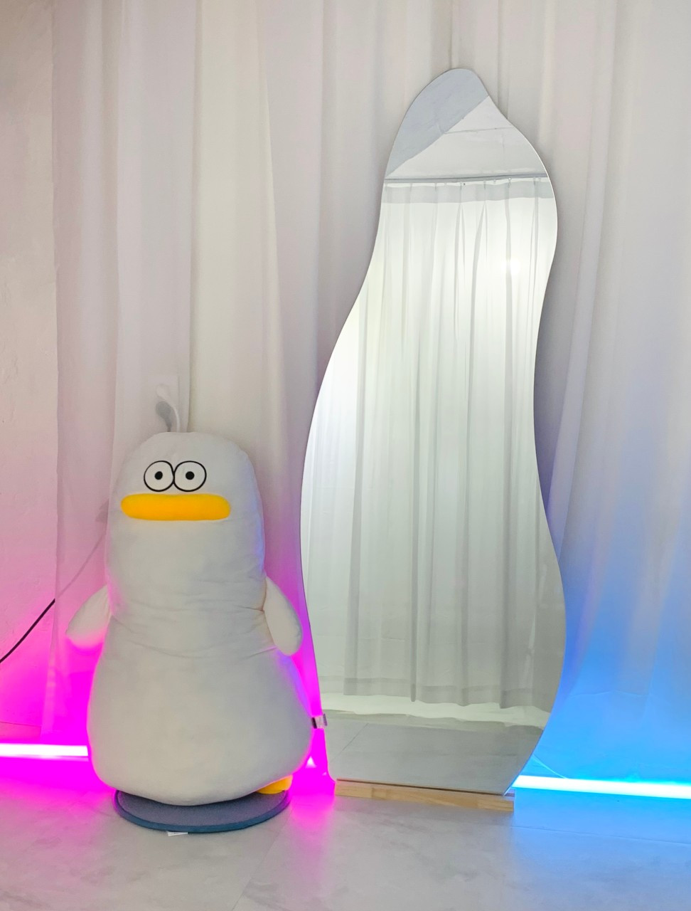 후보프