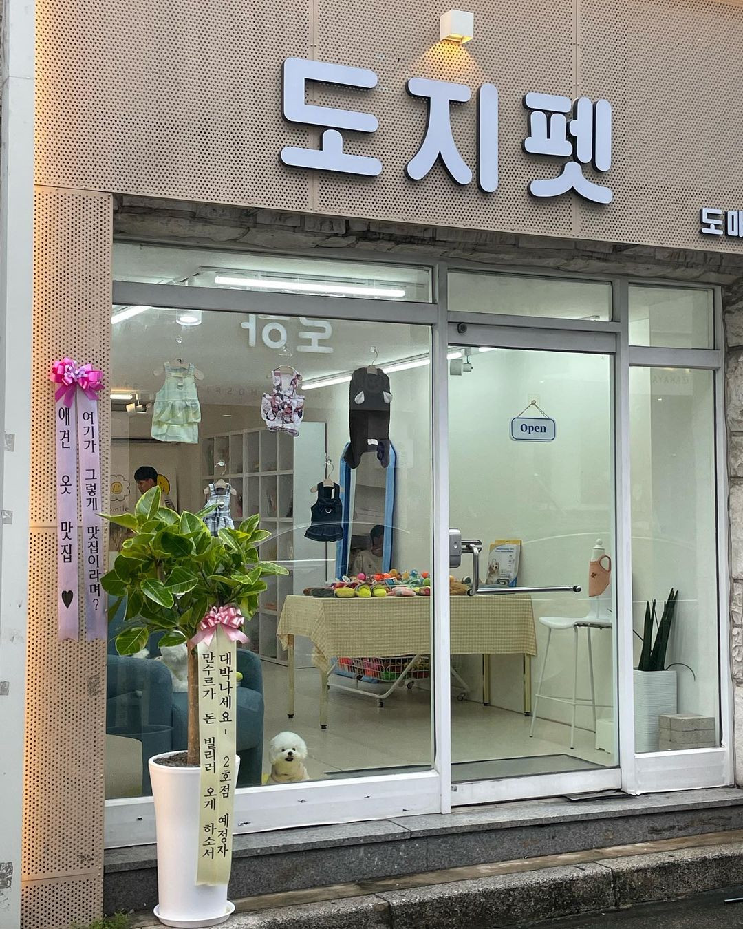 도지펫